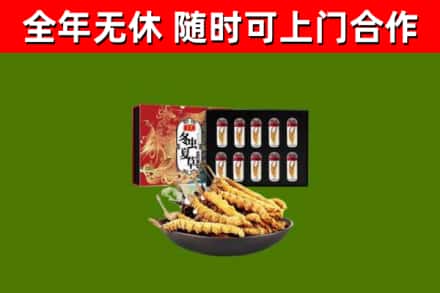 道里区烟酒回收冬虫夏草礼盒.jpg