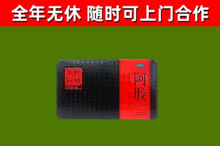 道里区回收阿胶