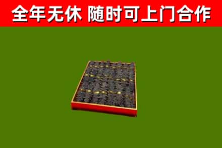 道里区回收海参